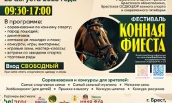 афиша фиесты для сайта